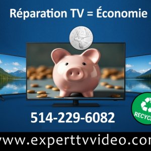 Sauvez de l\'argent en reparant votre televiseur